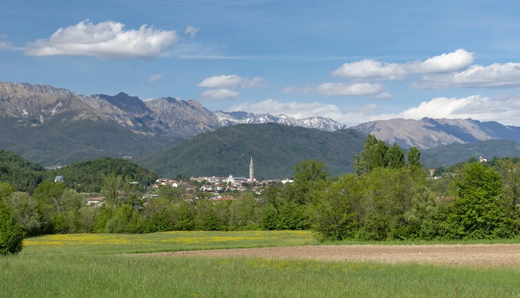 Buja. Ph. Fabrice Gallina