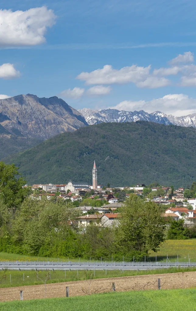 Buja. Ph. Fabrice Gallina