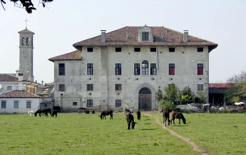 S. Vito di Fagagna, villa Micoli - sac 2008, radioTV trasmissione annualità Telefriuli
